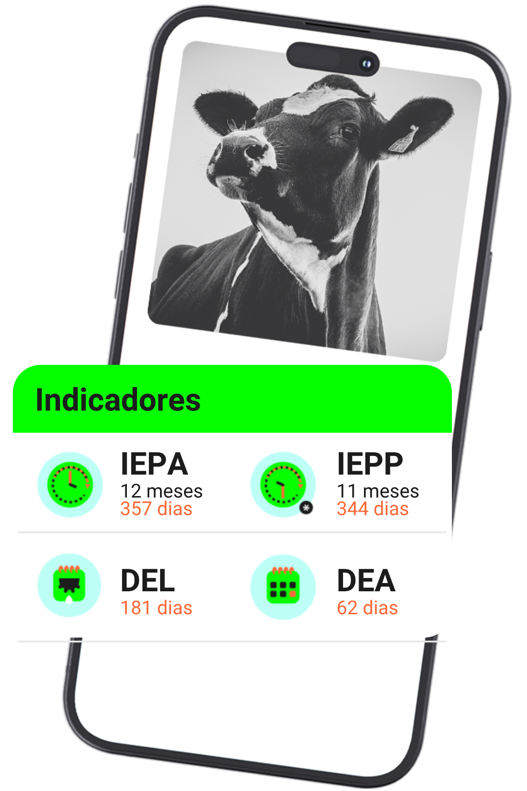 Indicadores